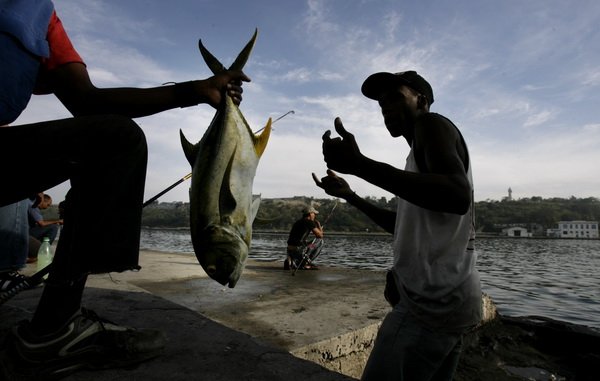 Най-добрите фотографии на Associated Press за 2008г