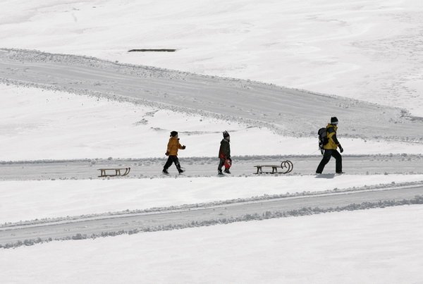 Най-добрите фотографии на Associated Press за 2008г