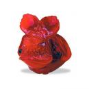 Забавни стопове